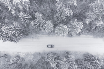 A car in a beautiful winter snow-white forest. Topic of motor transport and mobility