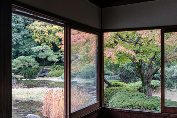 日本庭園の眺め