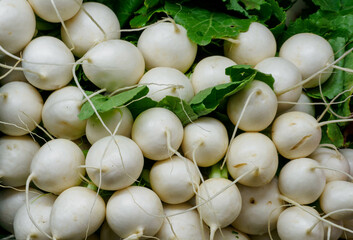 White Radishes with green leaves