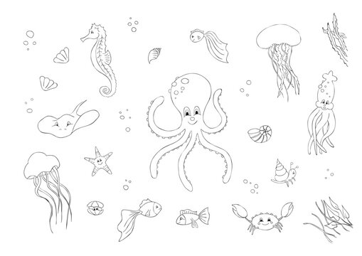 Underwater animals cartoon world. Contour. Children's painting book.
