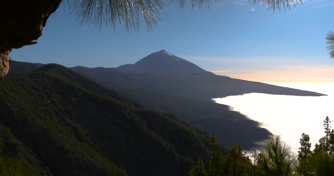 View on Mount Teide from a pine forest, Tenerife, Canary Islands, Spain