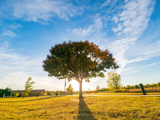 Sunny landscape of the YMCA PARK