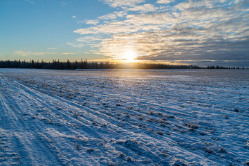 Sunset over winter fields in rural Canada. - 553066892