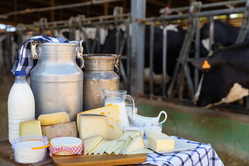 Aluminum can and glass decanter with milk, fresh curd and various cheeses on table standing in...