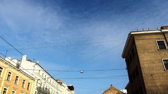 Establishing shot: Many pigeons flying in the city against blue sky