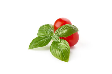 Fresh cherry tomatoes with Sweet basil leaves, isolated on white background.