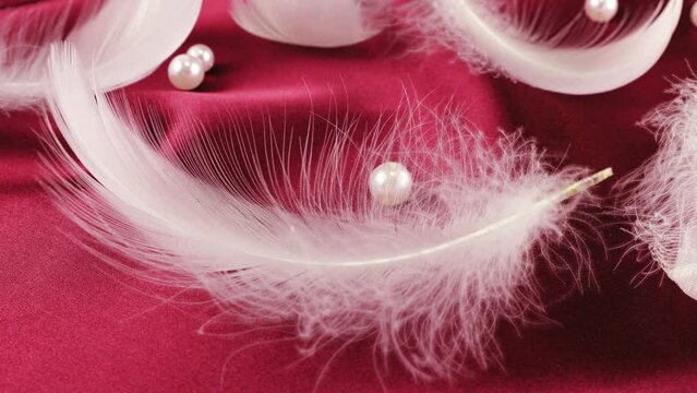 White swan feathers on red silk with pearls.
