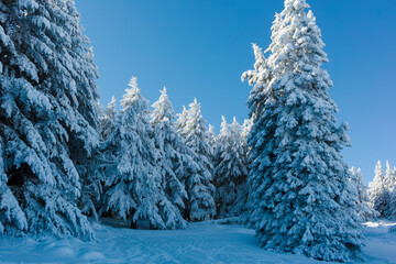 Winter landscape of Vitosha Mountain, Bulgaria