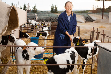 Caring female farmer in uniform giving milk to calves in plastic calf hutch on farm in countryside...