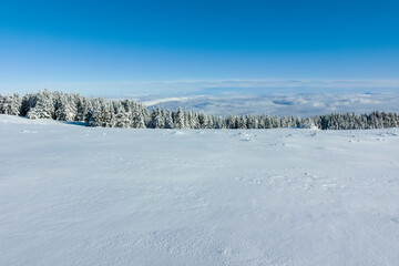 Winter landscape of Vitosha Mountain, Bulgaria