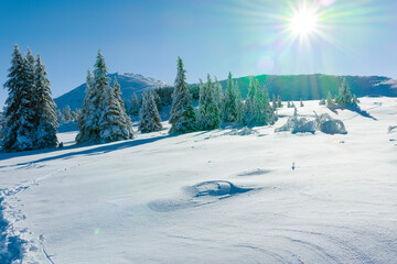 Winter landscape of Vitosha Mountain, Bulgaria