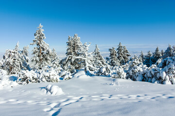 Winter landscape of Vitosha Mountain, Bulgaria