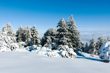 Winter landscape of Vitosha Mountain, Bulgaria
