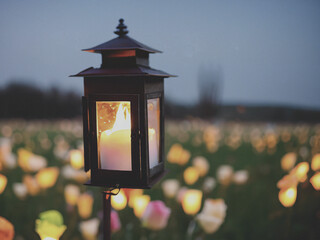 lantern in the park