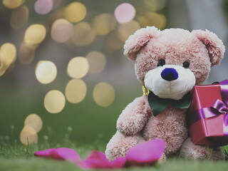 teddy bear with gift