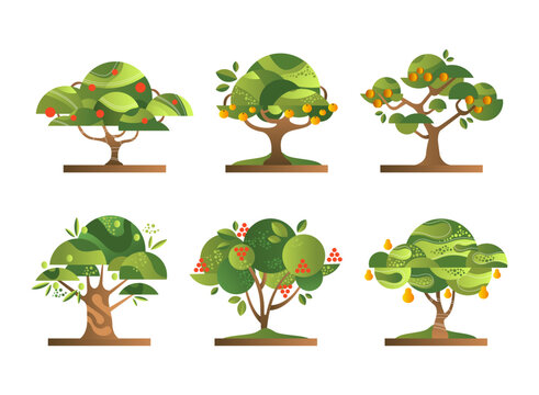 Different Fruit Trees with Green Crown and Trunk Flat Vector Set