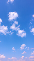 Sky with clouds - vertical background