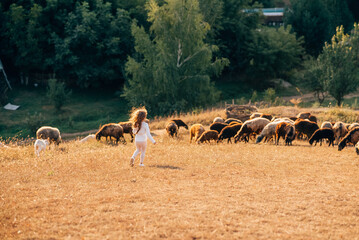 Beautiful meadow with a little girl and animals sheep