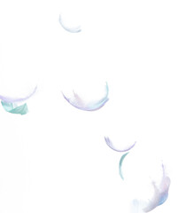 Many Pastel Feather fly fall in Air over white background isolated. Puffy Fluffy soft feathers as purity smooth like dream floating dove in sky. Angle flying from heaven, photo motion