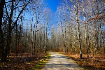 Tall Pines Area, Walnut Woods Metro Park, Groveport, Ohio