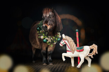 Cute portrait of a brown shetland pony wearing a festive christmas wreath next to a small carousel...