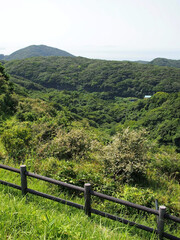 宗像大島・島中の深い森林【福岡県宗像市】
