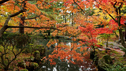 回遊式日本庭園と紅葉の美