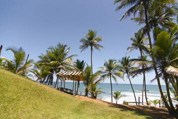 Naklejka na ściany i meble Beautiful landscape of a paradise beach with beautiful coconut trees, blue sky and clear water