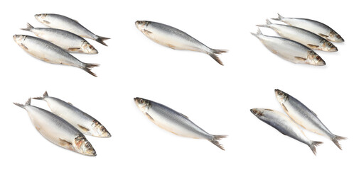 Set with tasty salted herrings on white background. Banner design