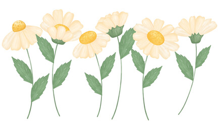 cute daisy flowers garden watercolour cartoon 