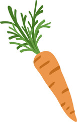 doodle freehand sketch drawing of carrot