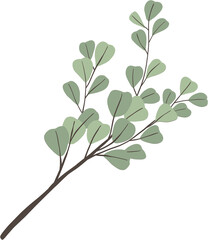 simplicity eucalyptus leaf freehand drawing.