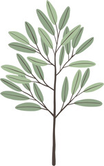 simplicity eucalyptus leaf freehand drawing.