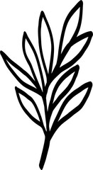 simplicity eucalyptus leaf freehand drawing.