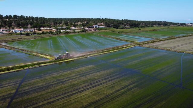 Rice fields in Comporta Portugal with truck driving away of the fields.