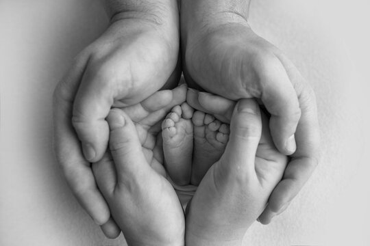 Children's foot in the hands of mother, father, parents. Feet of a tiny newborn close up. Little baby legs. Mom and her child. Happy family concept. Black and white image of motherhood stock photo.
