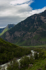 Fototapeta na wymiar Mountain river Chulcha in Altay Russia