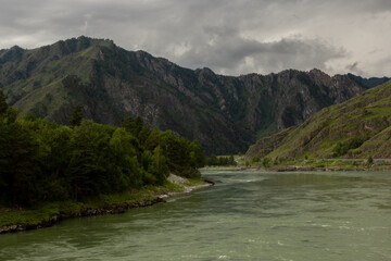 Fototapeta na wymiar Mountain river Katun in Altay Russia