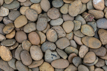 Walkside decorate with oval stone.