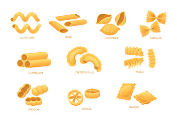 Set of Uncooked italian pasta cuisine staples vector illustration isolated on white background