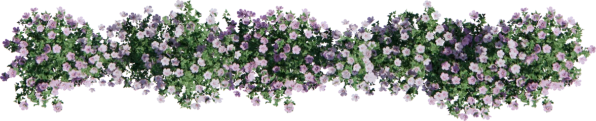 Foto op Aluminium Flower bush cutout  © safri