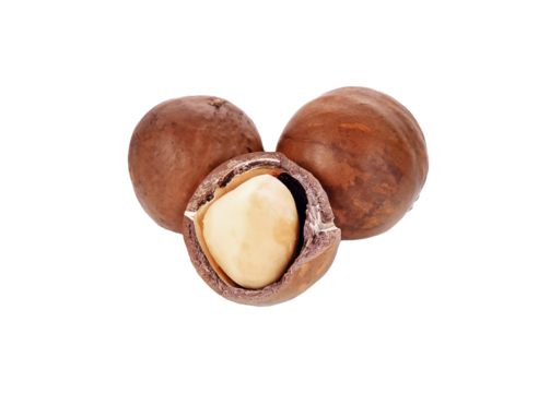macadamia nuts isolated on transparent png