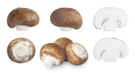 Set with fresh champignon mushrooms