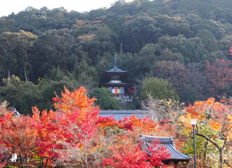 京都　永観堂の多宝塔