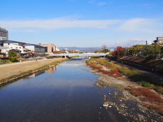 京都　鴨川　三条大橋より北方面の秋景色