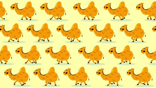 Dromedary camel cartoon characters wallpaper on sand background. Cute children animation good as backdrop for intro, party, television programme, presentation, etc... Seamless walking loop.