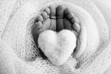 Knitted heart in the legs of a baby. Soft feet of a new born in a wool blanket. Close-up of toes, heels and feet of a newborn. Macro black and white photography the tiny foot of a newborn baby. 