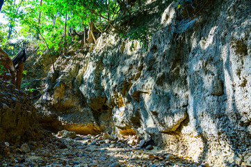 Fototapeta premium Soil layer at the nature trail in Mae Wang National Park