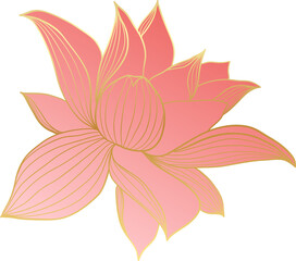Luxury gold lotus flower illustration