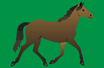 young running horse. vector illustration